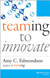 https://www.amazon.com/s?k=Teaming+to+innovate+Amy+Edmondson